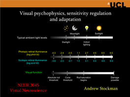 Visual Psychophysics and Sensitivity Regulation
