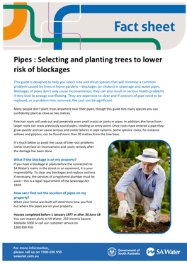 Selecting and Planting Trees to Lower Risk of Pipe Blockages