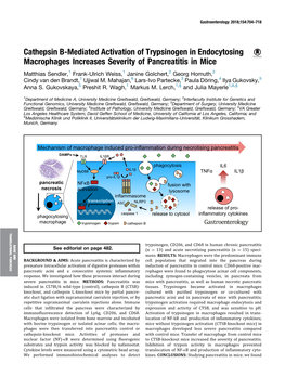 Cathepsin B-Mediated Activation of Trypsinogen in Endocytosing