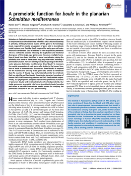 A Premeiotic Function for Boule in the Planarian Schmidtea Mediterranea