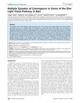 Multiple Episodes of Convergence in Genes of the Dim Light Vision Pathway in Bats