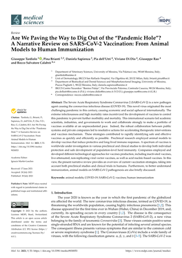 “Pandemic Hole”? a Narrative Review on SARS-Cov-2 Vaccination: from Animal Models to Human Immunization