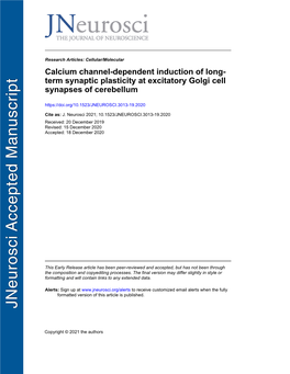 Calcium Channel-Dependent Induction of Long-Term Synaptic Plasticity At