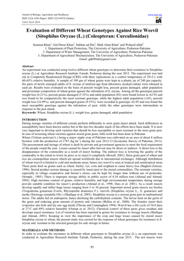 Evaluation of Different Wheat Genotypes Against Rice Weevil (Sitophilus Oryzae (L.) (Coleopteran: Curculionidae)