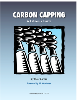 Carbon Capping: a Citizen's Guide