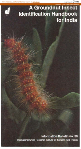 Hairy Caterpillars