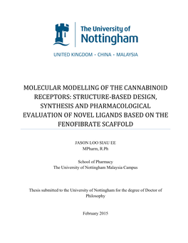 Molecular Modelling of the Cannabinoid Receptors: Structure-Based Design, Synthesis and Pharmacological Evaluation of Novel Ligands Based on the Fenofibrate Scaffold