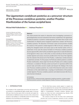 The Ligamentum Condylicum Posterius As a Precursor Structure of the Processus Condylicus Posterior, Another Proatlas-­ Manifestation of the Human Occipital Bone