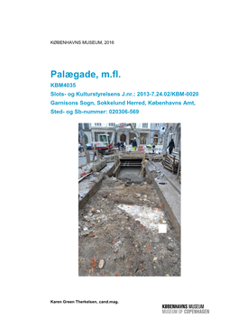 Pdfkbm 4035 Palægade 2016.Pdf