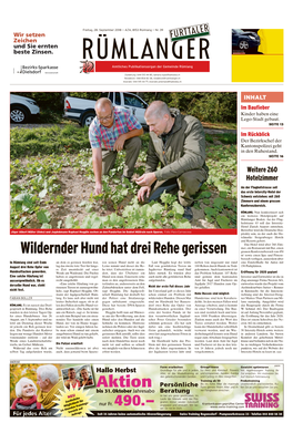 Wildernder Hund Hat Drei Rehe Gerissen