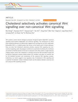 Cholesterol Selectively Activates Canonical Wnt Signalling Over Non-Canonical Wnt Signalling