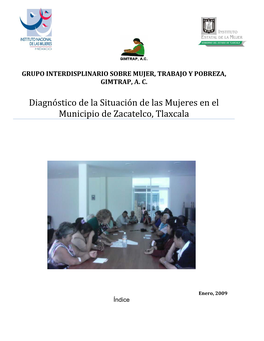 Diagnóstico De La Situación De Las Mujeres En El Municipio De Zacatelco, Tlaxcala