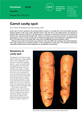 Carrot Cavity Spot
