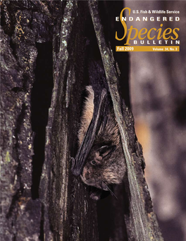 Endangered Species Bulletin Is an On-Line Publication