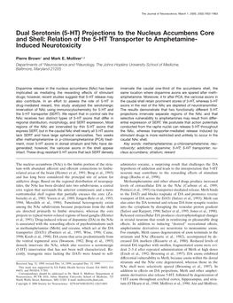 Projections to the Nucleus Accumbens Core and Shell: Relation of the 5-HT Transporter to Amphetamine-Induc