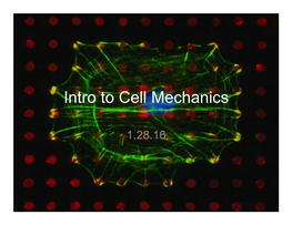 Intro to Cell Mechanics.Pptx