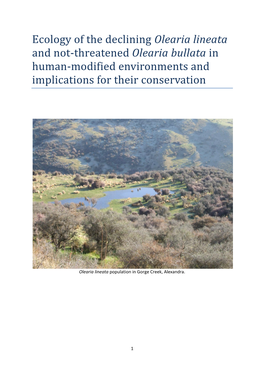 Olearia Lineata and Not-Threatened Olearia Bullata in Human-Modified Environments and Implications for Their Conservation