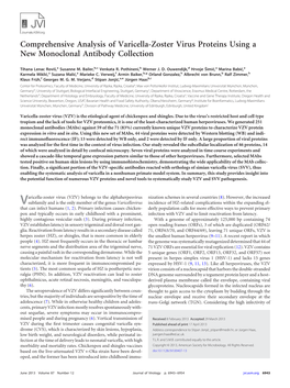 Comprehensive Analysis of Varicella-Zoster Virus Proteins Using a New Monoclonal Antibody Collection