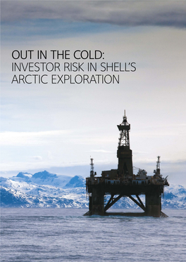 Investor Risk in Shell's Arctic Exploration