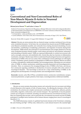 Conventional and Non-Conventional Roles of Non-Muscle Myosin II-Actin in Neuronal Development and Degeneration