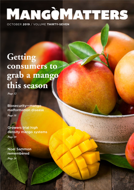 Getting Consumers to Grab a Mango This Season Page 12