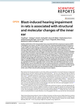 Blast-Induced Hearing Impairment in Rats Is Associated with Structural