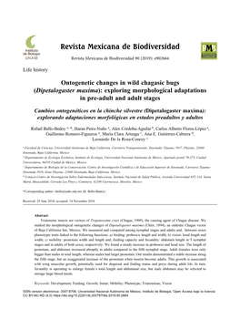 Dipetalogaster Maxima): Exploring Morphological Adaptations in Pre-Adult and Adult Stages