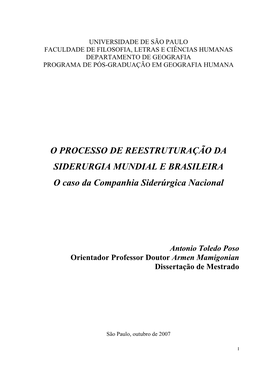 O Caso Da Companhia Siderúrgica Nacional