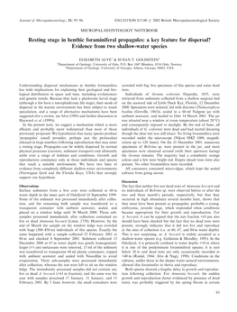 A Key Feature for Dispersal? Evidence from Two Shallow-Water Species