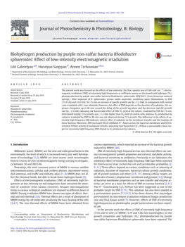 Biohydrogen Production by Purple Non-Sulfur Bacteria Rhodobacter Sphaeroides: Effect of Low-Intensity Electromagnetic Irradiation