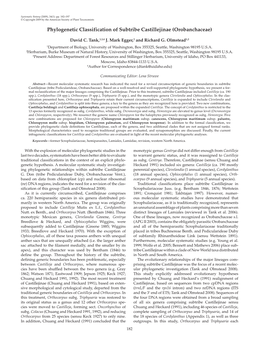 Phylogenetic Classification of Subtribe Castillejinae (Orobanchaceae)