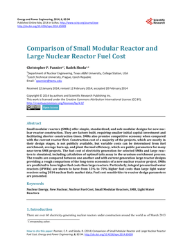 Comparison of Small Modular Reactor and Large Nuclear Reactor Fuel Cost