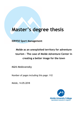 Master's Degree Thesis