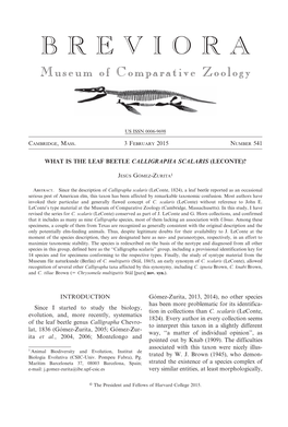 What Is the Leaf Beetle Calligrapha Scalaris (Leconte)?