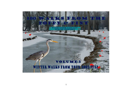 Volume 3: Winter Walks from Your Doorstep