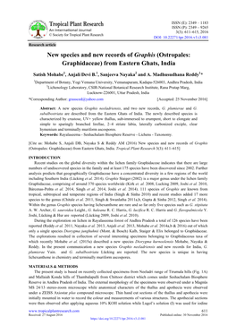 New Species and New Records of Graphis (Ostropales: Graphidaceae) from Eastern Ghats, India