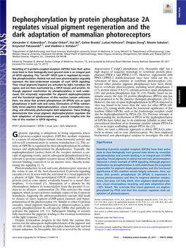 Dephosphorylation by Protein Phosphatase 2A Regulates Visual