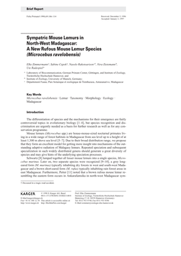 A New Rufous Mouse Lemur Species (Microcebus Ravelobensis)