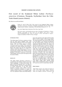 First Record of the Sculptured Mitten Lobster Parribacus Antarcticus (Crustacea, Decapoda, Scyllaridae) from the Cabo Verde Islands (Eastern Atlantic)