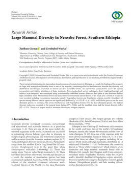 Research Article Large Mammal Diversity in Nensebo Forest, Southern Ethiopia