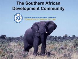 Tourist Attractions in the SADC Countries • 1