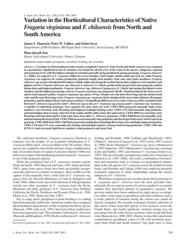 Variation in the Horticultural Characteristics of Native Fragaria Virginiana and F. Chiloensis from North and South America