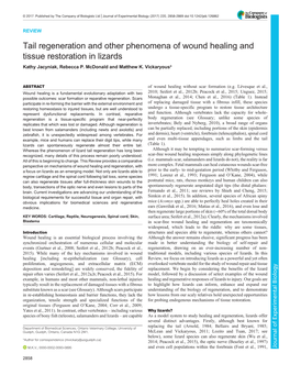 Tail Regeneration and Other Phenomena of Wound Healing and Tissue Restoration in Lizards Kathy Jacyniak, Rebecca P