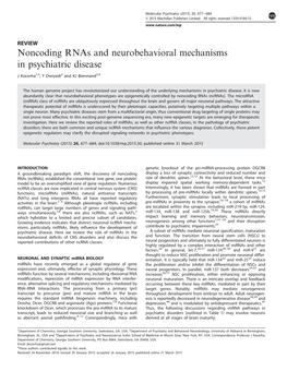 Noncoding Rnas and Neurobehavioral Mechanisms in Psychiatric Disease