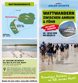 WATTWANDERN Wattwanderung Föhr ZWISCHEN AMRUM & FÖHR Schiffsroute Amrum Amrum - Sylt