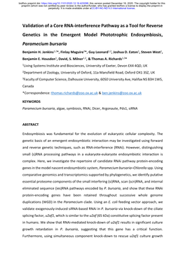 Validation of a Core RNA-Interference Pathway As a Tool for Reverse Genetics in the Emergent Model Phototrophic Endosymbiosis, Paramecium Bursaria