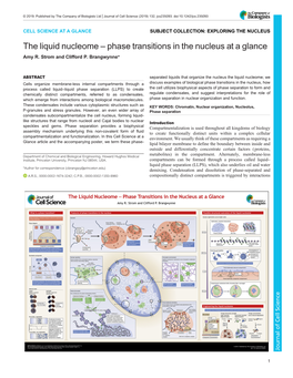 Phase Transitions in the Nucleus at a Glance Amy R