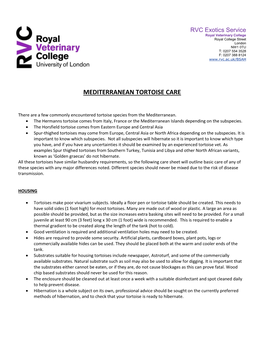 Mediterranean Tortoise Care
