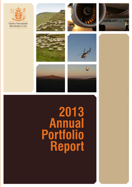 2013 Annual Portfolio Report | Crown Ownership Monitoring Unit