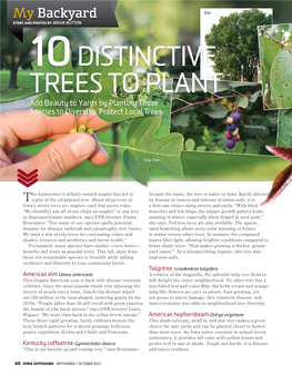 10Distinctive Trees to Plant